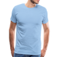 Herren Premium Bio T-Shirt Ein Sommernachtstanz - Sky